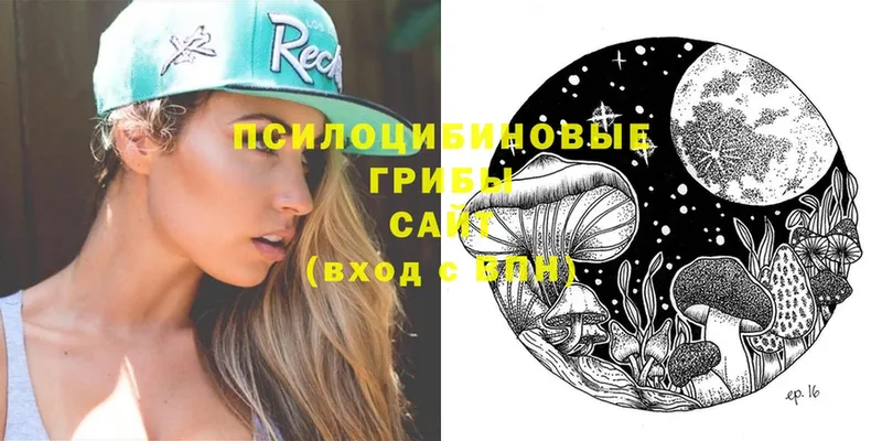 Галлюциногенные грибы Magic Shrooms  Богданович 